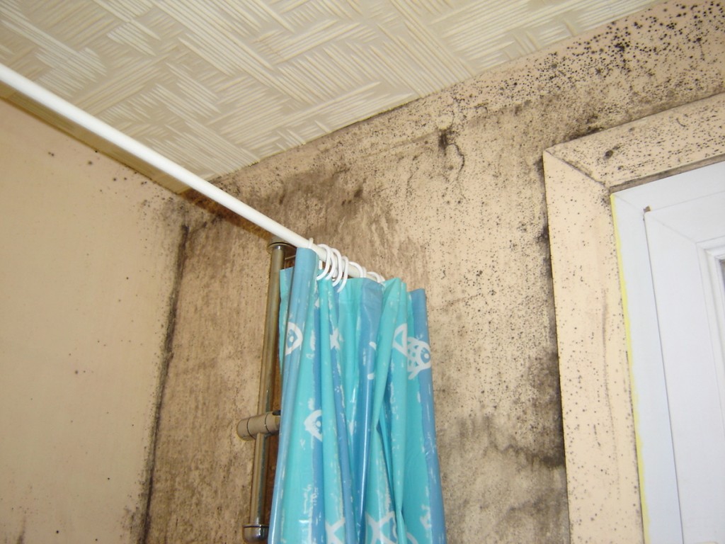 Condensation dans votre maison signes, dangers et traitement