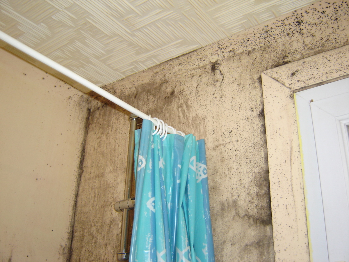La condensation dans un logement causes et solutions Actimur — free download
