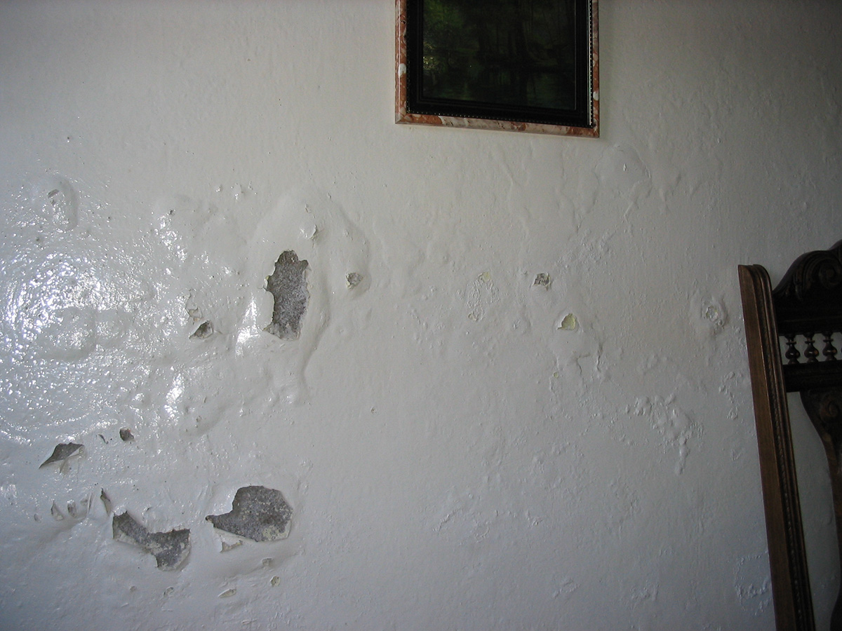 Salpêtre sur vos murs : signes, dangers et traitement