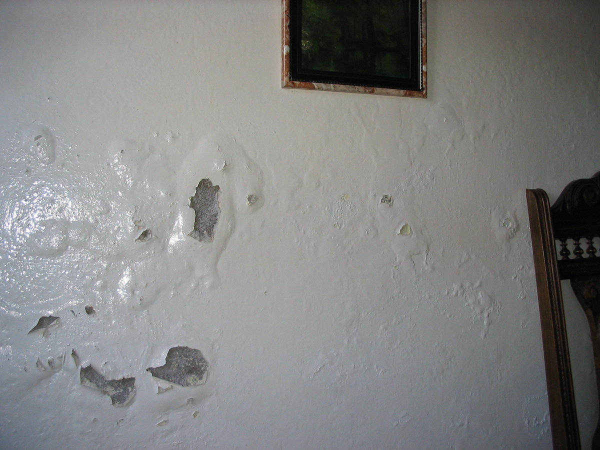 Salpêtre sur vos murs signes, dangers et traitement Salpêtre sur vos murs signes, dangers et traitement