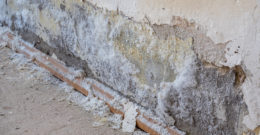 L’humidité des murs en période de sécheresse