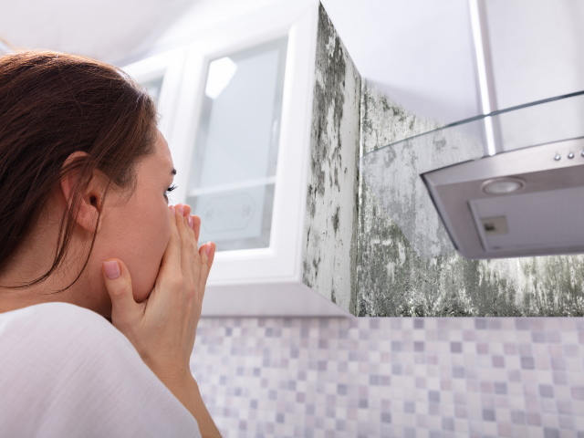 Comment enlever l'odeur d'humidité dans une maison ?