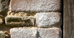 Photo en gros plan sur du salpêtre sur les briques d'un mur extérieur d'une maison – article sur salpêtre danger par Actimur