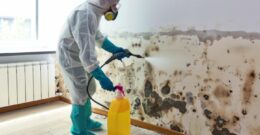 Technicien en tenue de protection appliquant un traitement anti-moisissure pour protéger un mur extérieur contre l'humidité et la prolifération des champignons.