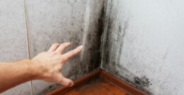 Mur intérieur endommagé par l'humidité avec des traces de moisissures noires au bas du mur.