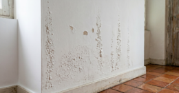 Peinture boursouflée bas mur blanc intérieur, article sur mur qui cloque humidité écrit par Actimur.